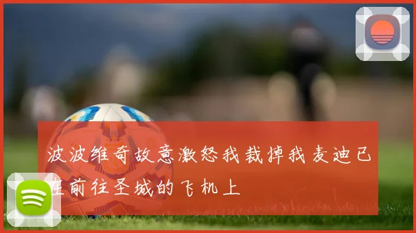 波波维奇故意激怒我裁掉我麦迪已在前往圣城的飞机上